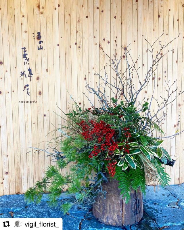 @vigil_florist_ さんの正月の花が　@yunoyama_sosuikyo さんに飾られております！

源泉かけ流しの温泉宿の素粋居さんは
#湯の山温泉　の泉質
#内田鋼一　さんのプロデュースされた調度品と空間
蕎麦や鰻や肉料理と美味しい食事が楽しめます。
是非行ってみてください！

#Repost @vigil_florist_ with @make_repost
・・・
.
#湯の山素粋居　さま

#松
#苔梅
#苔木
#苔朴
#隈笹
#エントランス
#生け込み
#新春
#素粋居

西村直樹　@nishimura__naoki  さま　ご協力に感謝いたします。